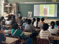 幼虫からサナギに変わる様子