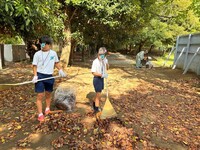 シュート板の裏の落ち葉集め