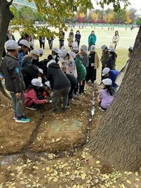 溝を掘り、水を流して観察します