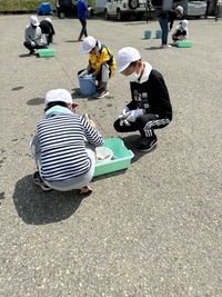 川魚をさばく様子。